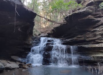 alabama/blount-mountain/attraction/mize-mill-falls