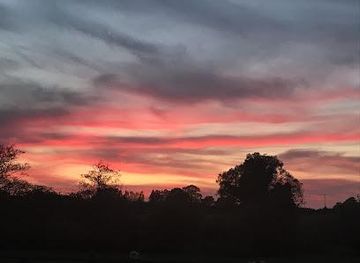 united-kingdom/birmingham/attraction/faerie-tale-farm-alpacas