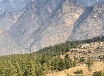 india/valley-of-flowers-national-park/attraction/gorson-bugyal