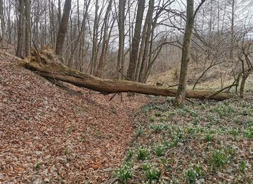 croatia/medimurje/attraction/izvor-trnave