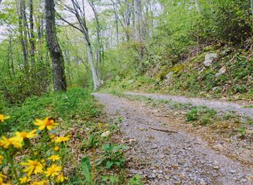 virginia/shenandoah-national-park/attraction/shenandoah-wilderness