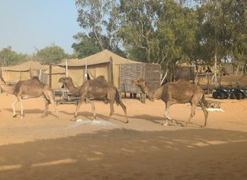 senegal/lompoul-desert/attraction/senegal