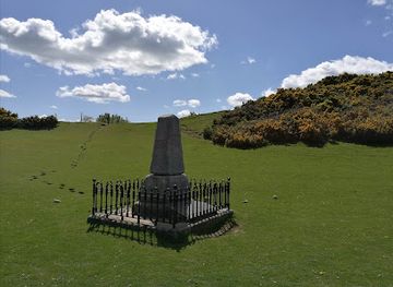 ireland/county-kildare/attraction/donnelly-s-hollow