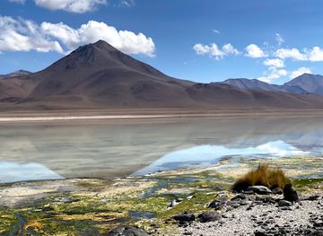 bolivia/altiplano/attraction/reserva-nacional-de-fauna-andina-eduardo-avora