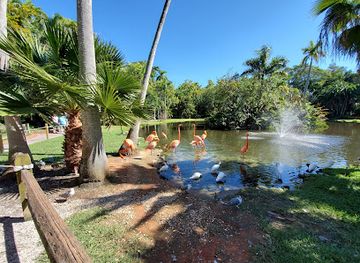 florida/sarasota-beaches/attraction/sarasota-jungle-gardens