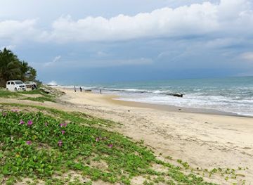 sri-lanka/negombo/attraction/dungalpitiya-beach