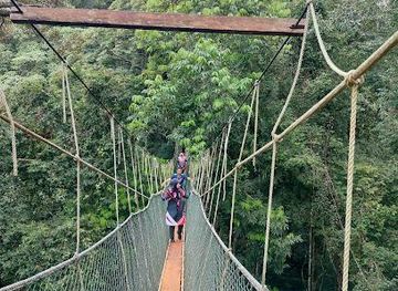 Taman Negara National Park
