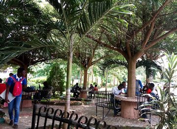 nigeria/iita-forest-reserve/attraction/tree-club-park