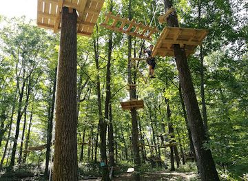 new-jersey/mountain-creek-ski-resort/attraction/treescape-aerial-adventure-park