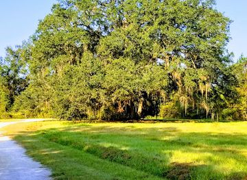 florida/tallahassee-area/attraction/miccosukee-canopy-road-greenway