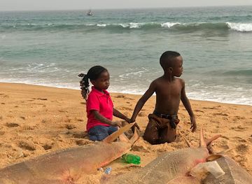 togo/lake-togo-area/attraction/denu-beach