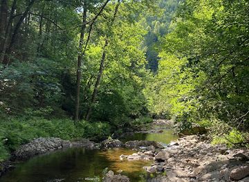belgium/hautes-fagnes/attraction/vallee-de-la-warche