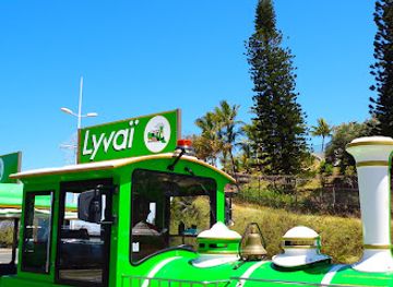 new-caledonia/noumea/anse-vata/attraction/lyvai-tours