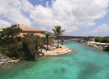 curacao/soto/attraction/dolphin-academy-curacao