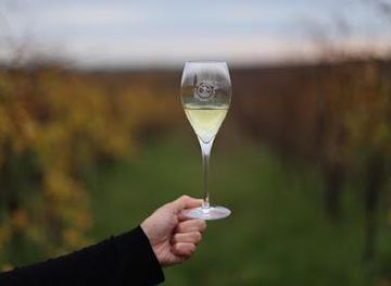 vatican-city/vatican-gardens/attraction/azienda-agricola-biologica-di-donato-giangirolami