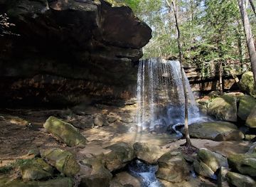 alabama/sipsey-wilderness/attraction/fall-creek-falls