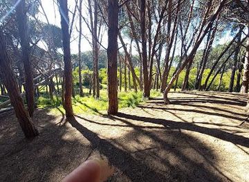 argentina/mar-del-plata/attraction/bosque-energetico