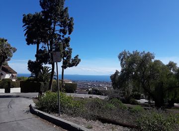 california/santa-barbara-county/attraction/moreton-bay-fig-tree
