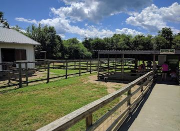 virginia/luray-caverns/attraction/luray-zoo-a-rescue-zoo