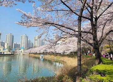 south-korea/incheon/attraction/seokchon-lake