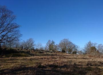 sweden/linkoping/attraction/bergsangen