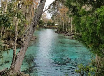 florida/crystal-river/attraction/discover-crystal-river-visitors-center