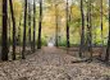 michigan/bay-city/attraction/tobico-marsh-big-loop-trail-head