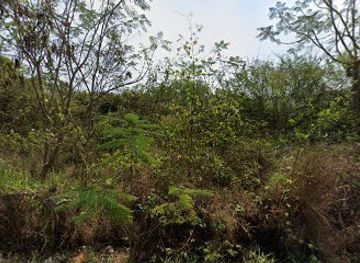 thailand/hua-hin/attraction/888-thai-boxing-stadium