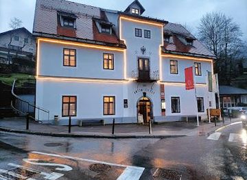 slovenia/sezana/attraction/anthony-s-shaft-mining-museum