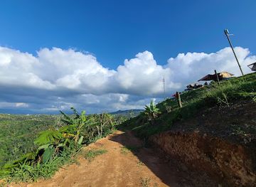 puerto-rico/arecibo-observatory/attraction/hacienda-don-pancho