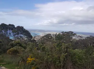 Arthurs Seat Lookout
