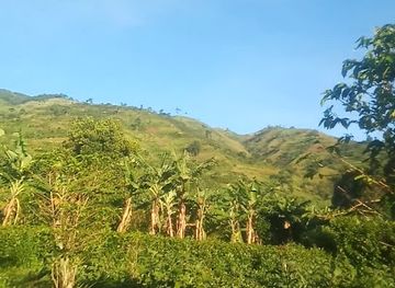 uganda/kibale-national-park/attraction/akin-kyamuka-hill-leisure-park