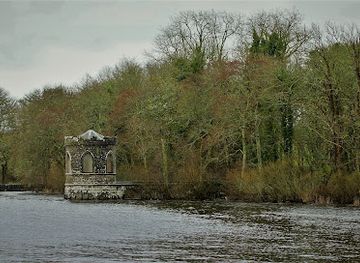 ireland/county-roscommon/attraction/zipit-forest-adventures
