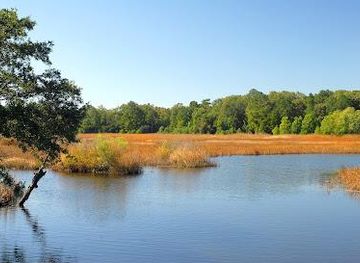 south-carolina/north-charleston/attraction/caw-caw-interpretive-center