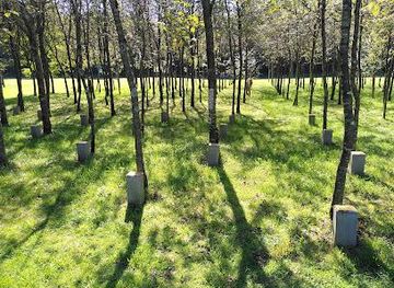 Paix Woods