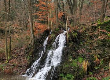 belgium/hautes-fagnes/attraction/cascade-de-neufmarteau