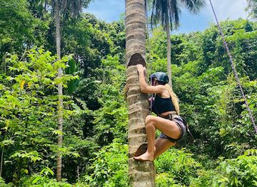 philippines/palawan/attraction/the-philippine-experience