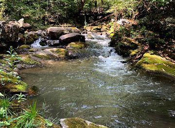 virginia/george-washington-and-jefferson-national-forests/attraction/roaring-run-loop-trail