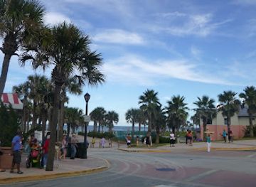 florida/daytona-beach/attraction/daytona-beach-zipline