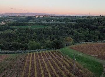 italy/chianti-classico/attraction/fattoria-san-pancrazio