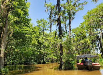 louisiana/northshore/attraction/pearl-river-wildlife-management-area