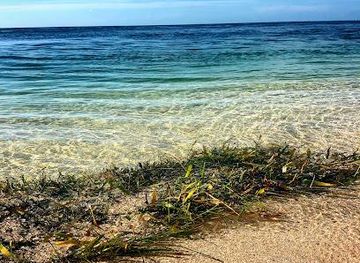 florida/key-west/attraction/sandy-bottoms-charter