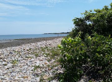 massachusetts/bristol-county/attraction/demarest-lloyd-state-park