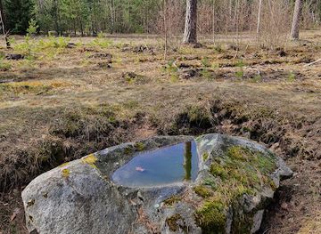 lithuania/dzukija-national-park/attraction/laumes-sulinio-akmuo