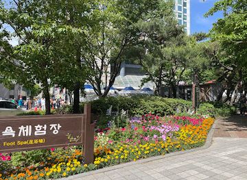 south-korea/daejeon/attraction/yuseong-foot-bath