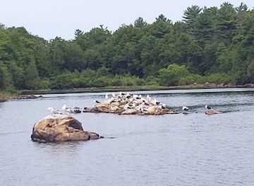 massachusetts/south-shore/attraction/wompatuck-state-park