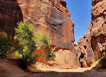 utah/grand-staircase-escalante-national-monument/attraction/wire-pass-trailhead