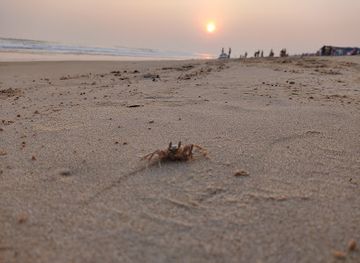india/puri/attraction/sunset-view-point-puri