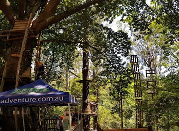 australia/yarra-valley/attraction/treetops-adventure-belgrave
