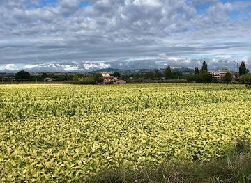 italy/perugia/attraction/ciclovia-spoleto-assisi
